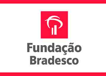 Logo Fundacao Bradesco